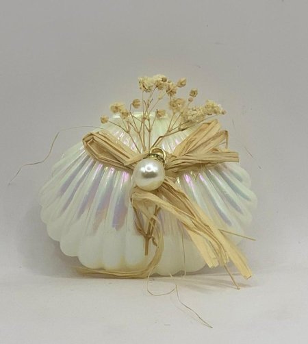 توزيعة صدفة