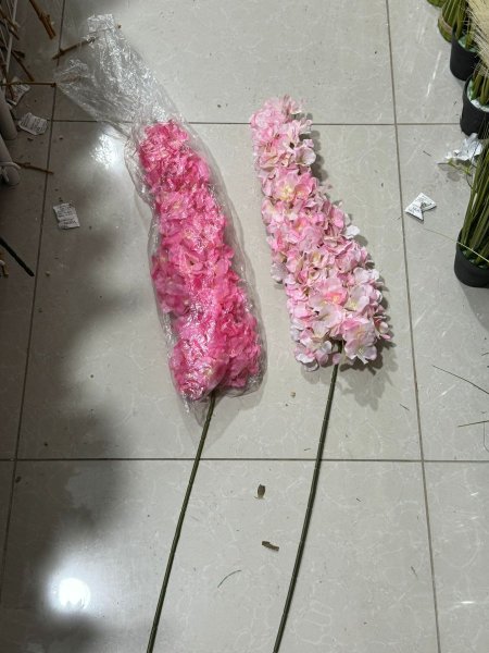 ورد