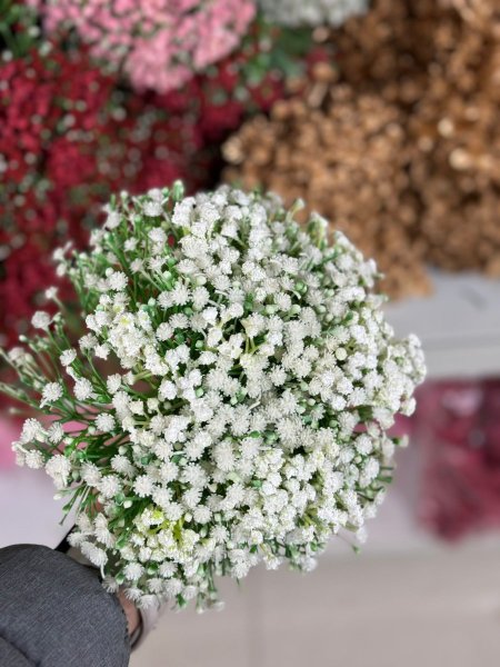 ضمه بيبي فلور لون ابيض <br> <span class='text-color-warm'>سيتوفر قريباً</span>