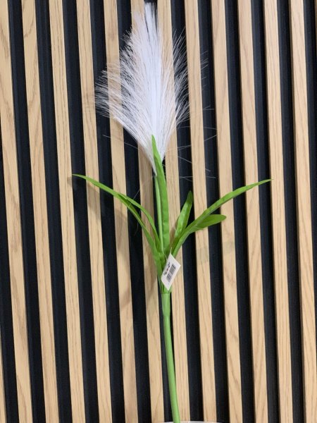 ورد