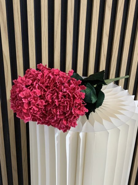 ورد