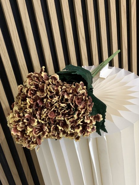 ورد