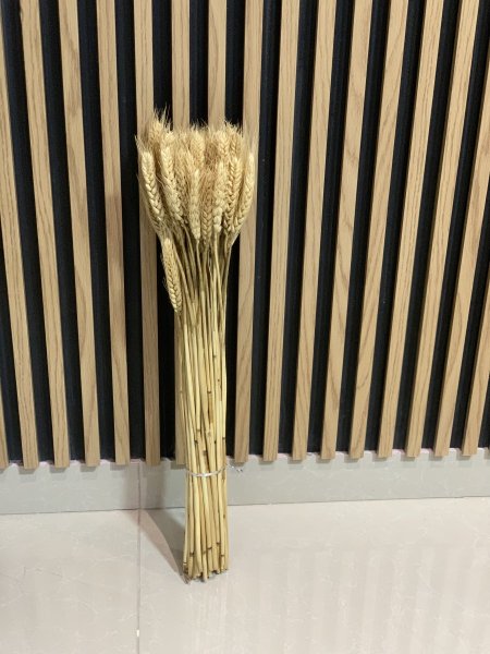 ورد