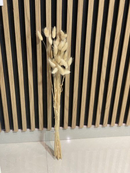 ورد